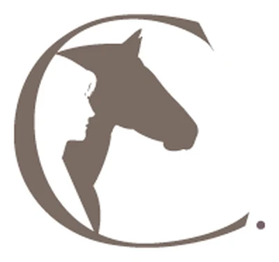 Logo Danse Avec Lui