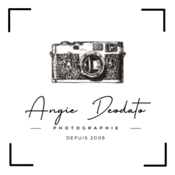 Logo Pro Photo Studio